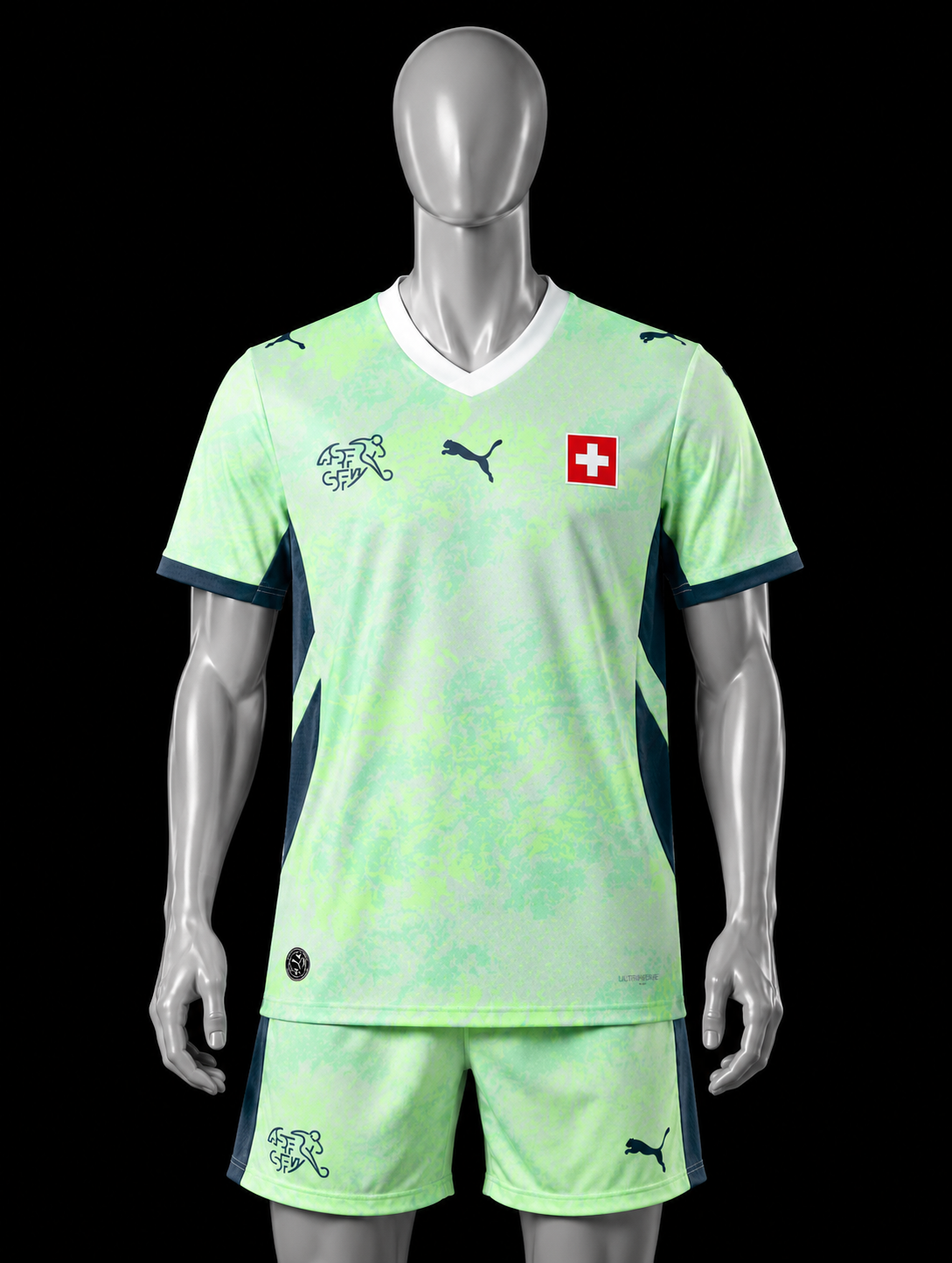 SVIZZERA 2026 TRASFERTA